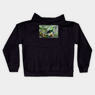 Malachite Sunbird, South Africa Kids Hoodie